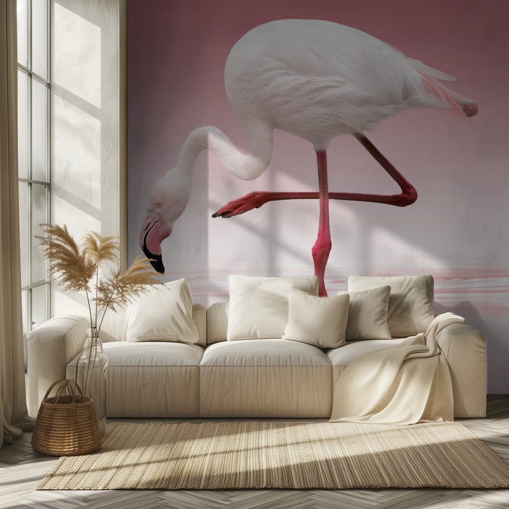 Flamingo | Tapeter