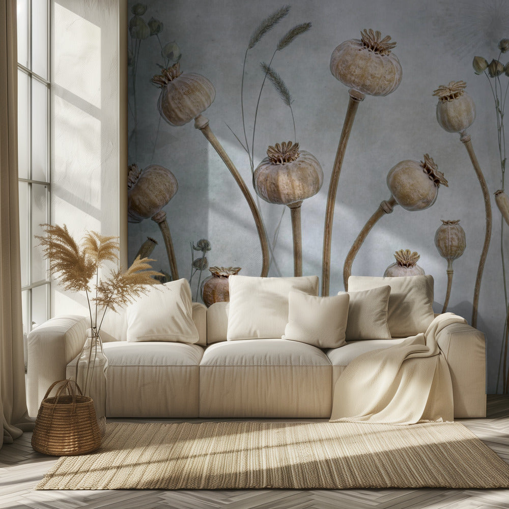 Papaver | Tapet