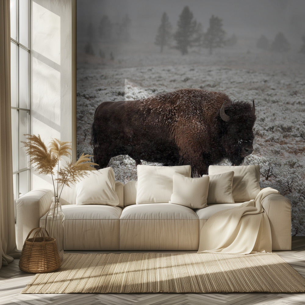 Late Fall Yellowstone | Wallpaper