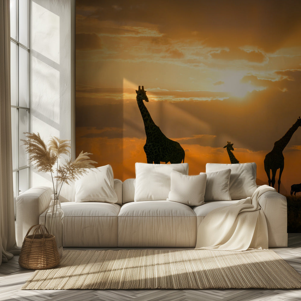 África dorada | Papel Pintado Fotográfico