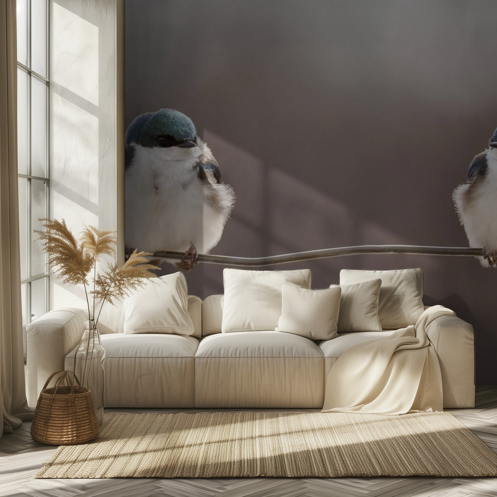 Birds on a wire | Wallpaper