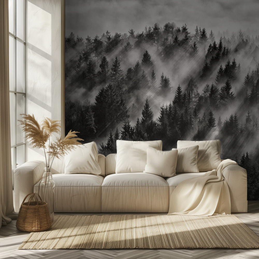 Sundance nr 1 | Tapet
