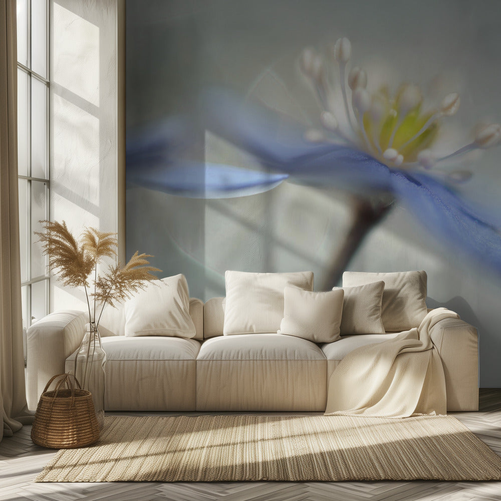 Dancing anemones | Wallpaper