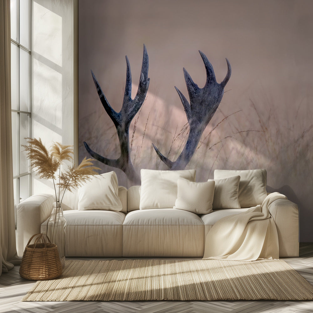 Hide & Seek ( Horn of Stag) | Wallpaper