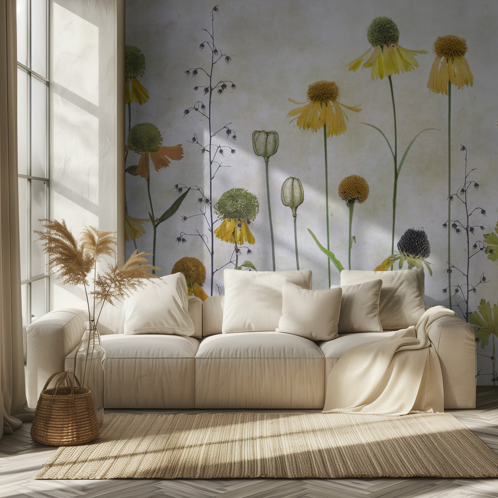 Helenium | Tapet
