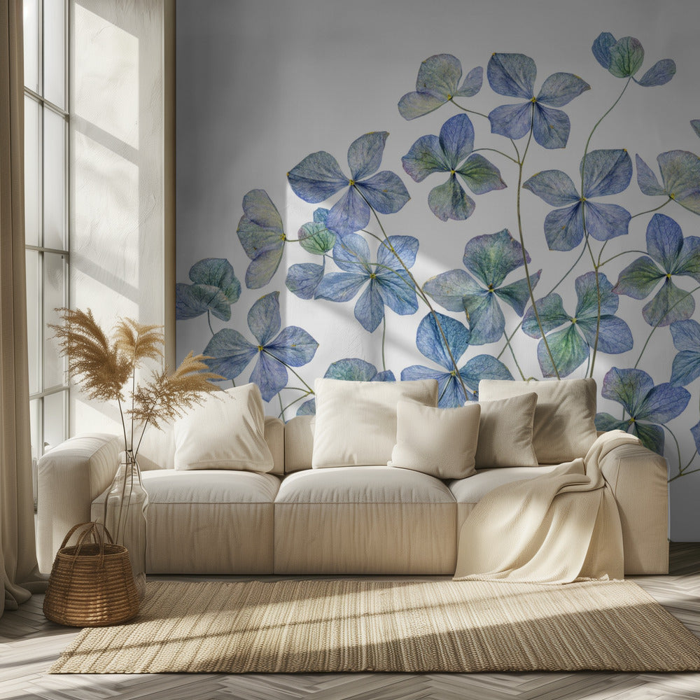 Hortensia | Tapet