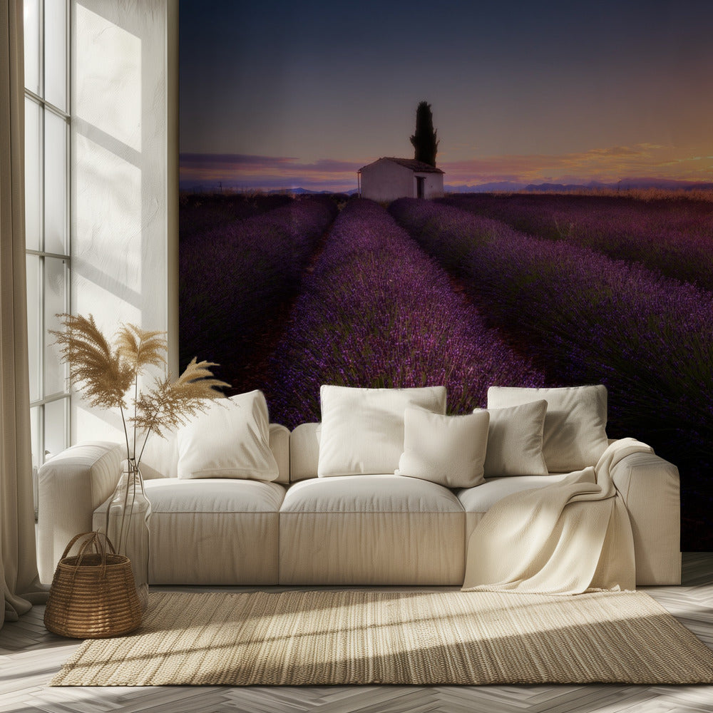 Provence Lavendel | Tapet