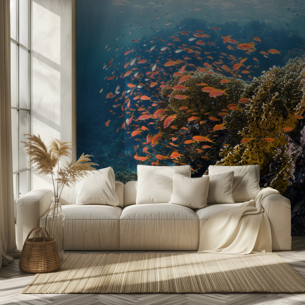Reefscape | Tapeter