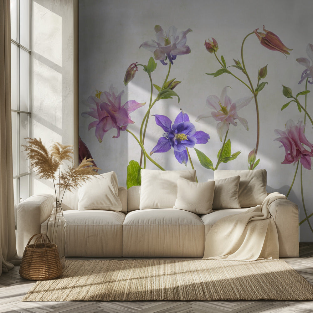 Columbine | Fototapeten