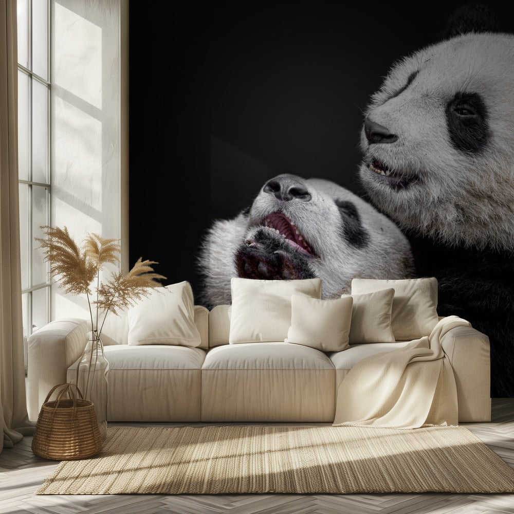 Pandor | Tapeter