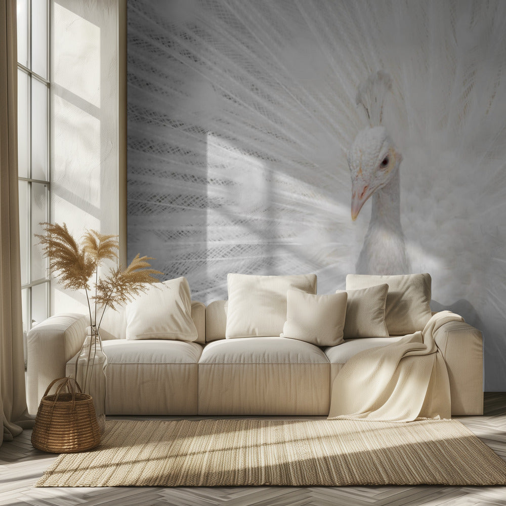 Splendid White | Tapet