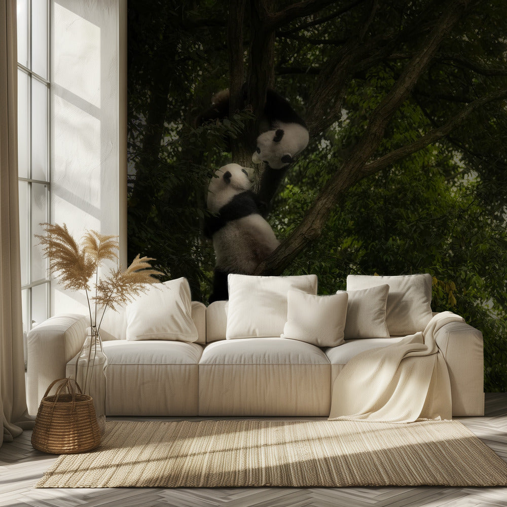 Panda | Tapeter