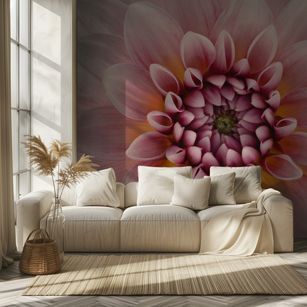 Blush | Tapet