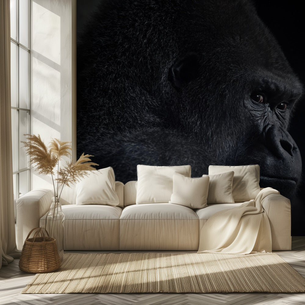 gorilla blick | Tapet