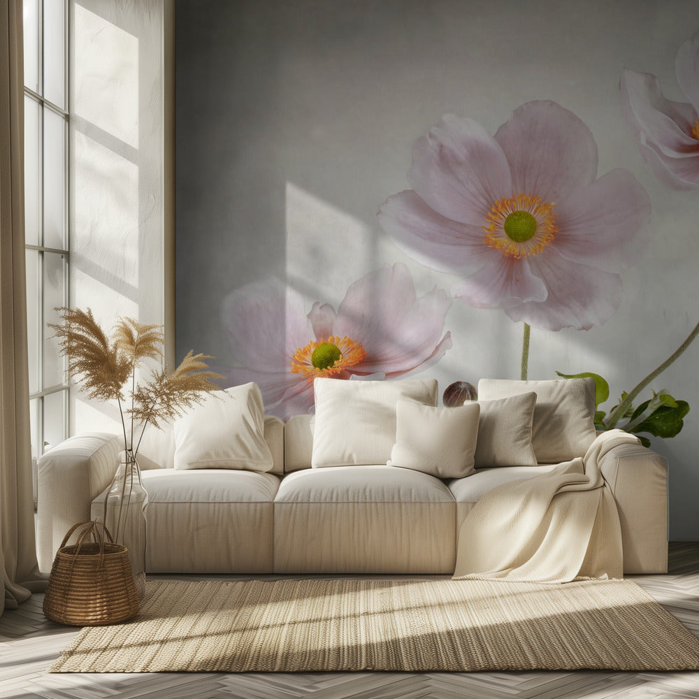 Anemoner | Tapeter