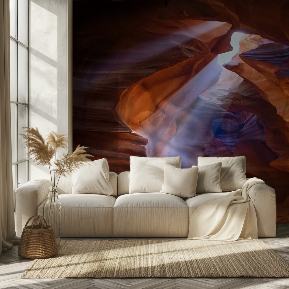 Pure Photodelight 2 | Papier Peint Photo