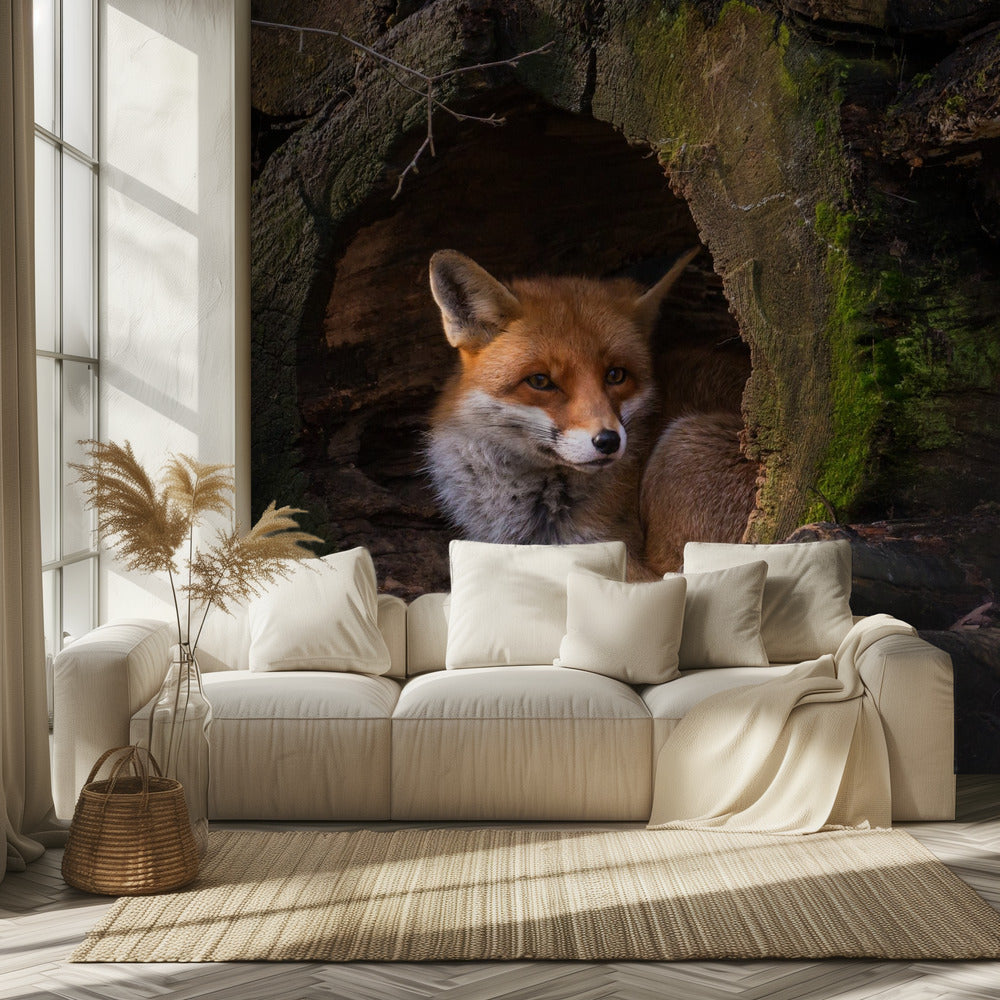 Fox | Wallpaper