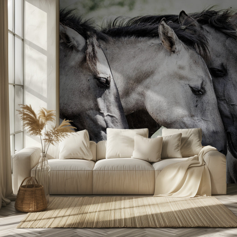 Four Konik Horses | Wallpaper
