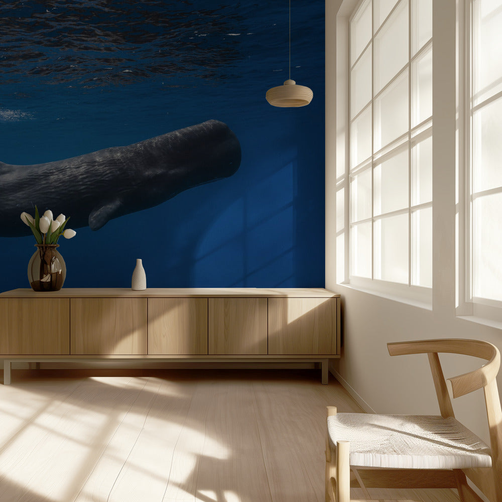Sperm whale | Wallpaper