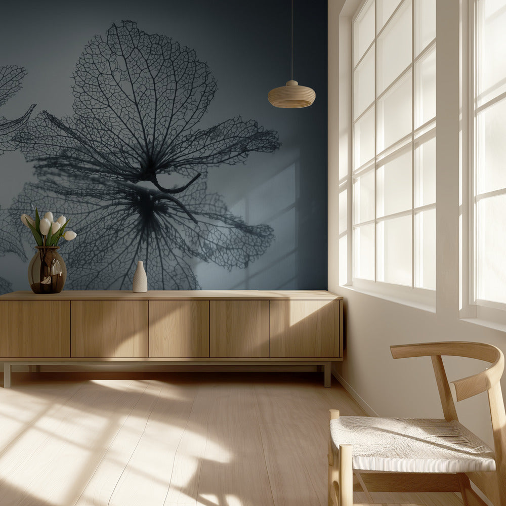 Ephemeral Beauty | Wallpaper