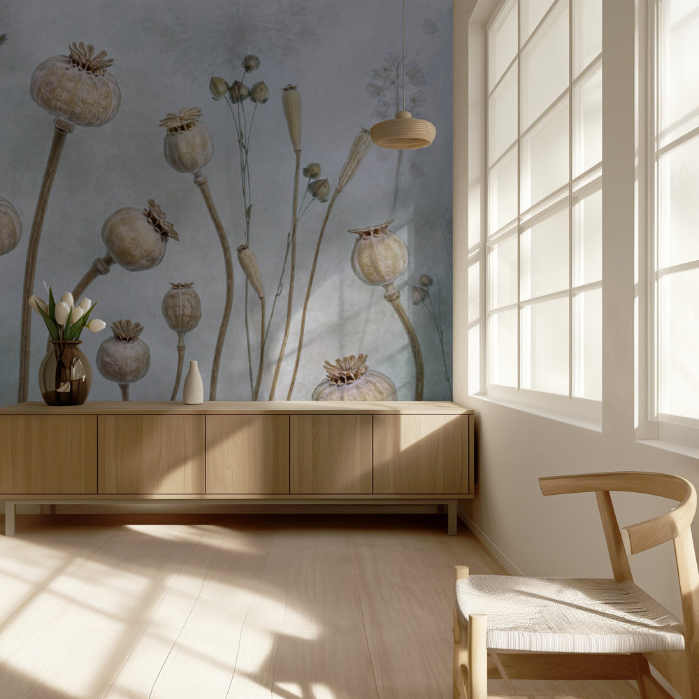 Papaver | Tapet