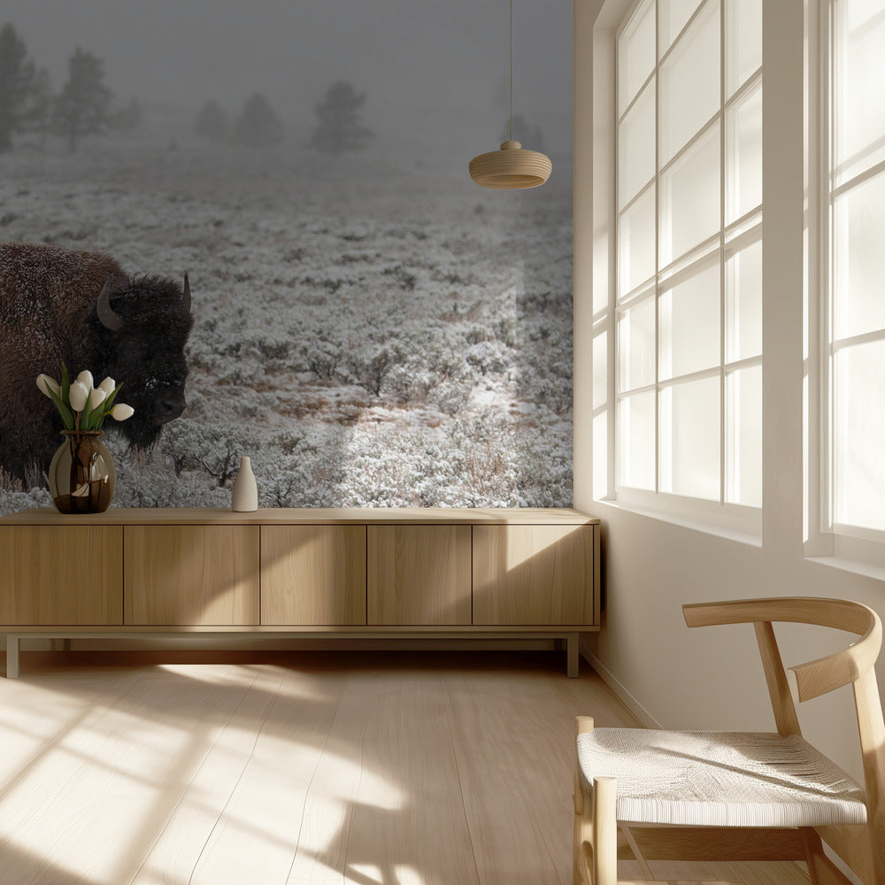 Late Fall Yellowstone | Wallpaper