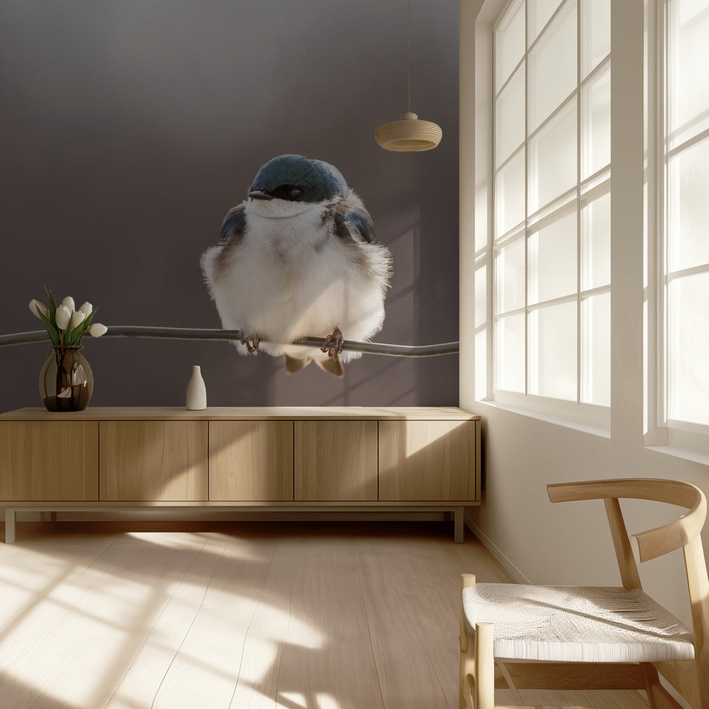 Birds on a wire | Wallpaper