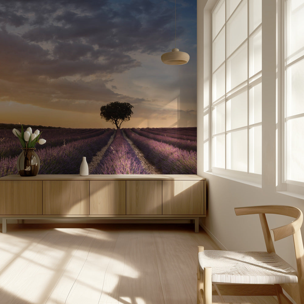 DESTINATION LAVENDEL | Tapeter