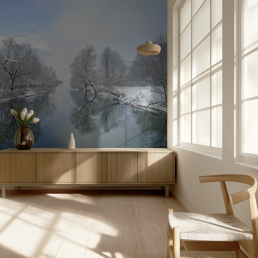 Vinter | Tapeter