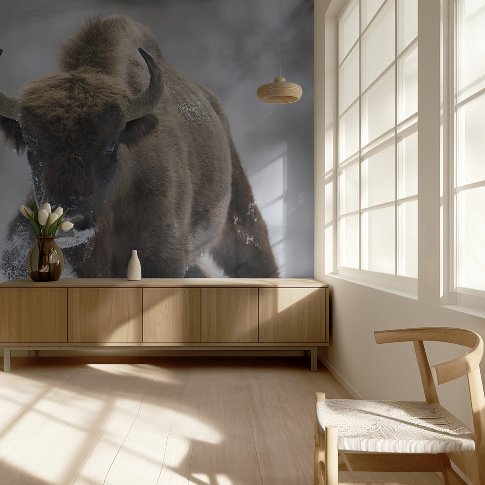Rewilded | Wallpaper