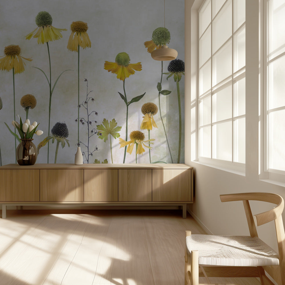 Helenium | Tapet