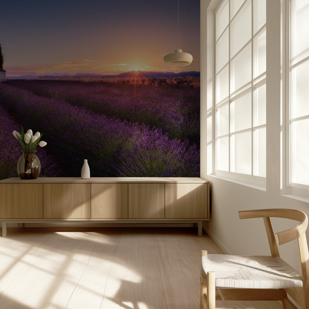Provence Lavendel | Tapet