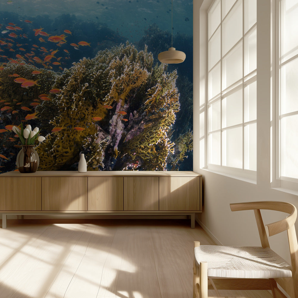 Reefscape | Tapeter