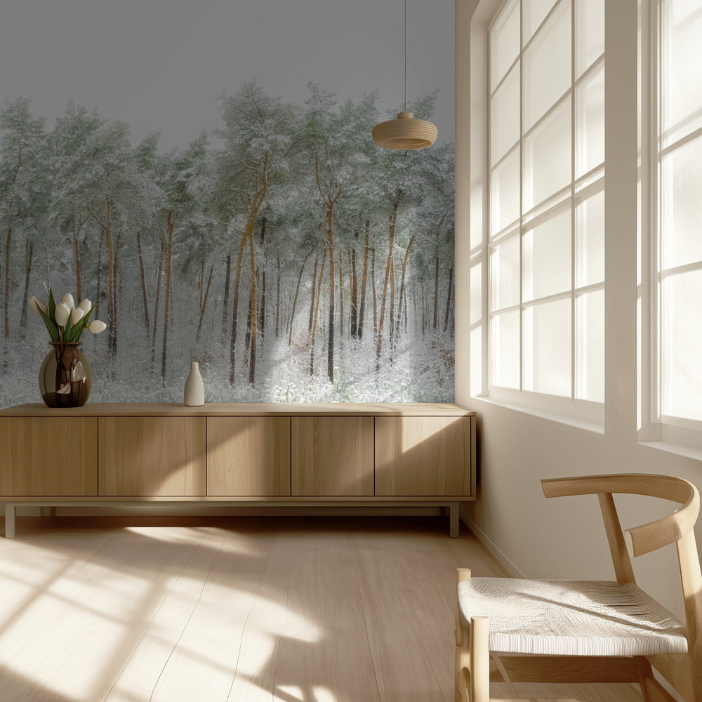 Snövärld | Tapeter