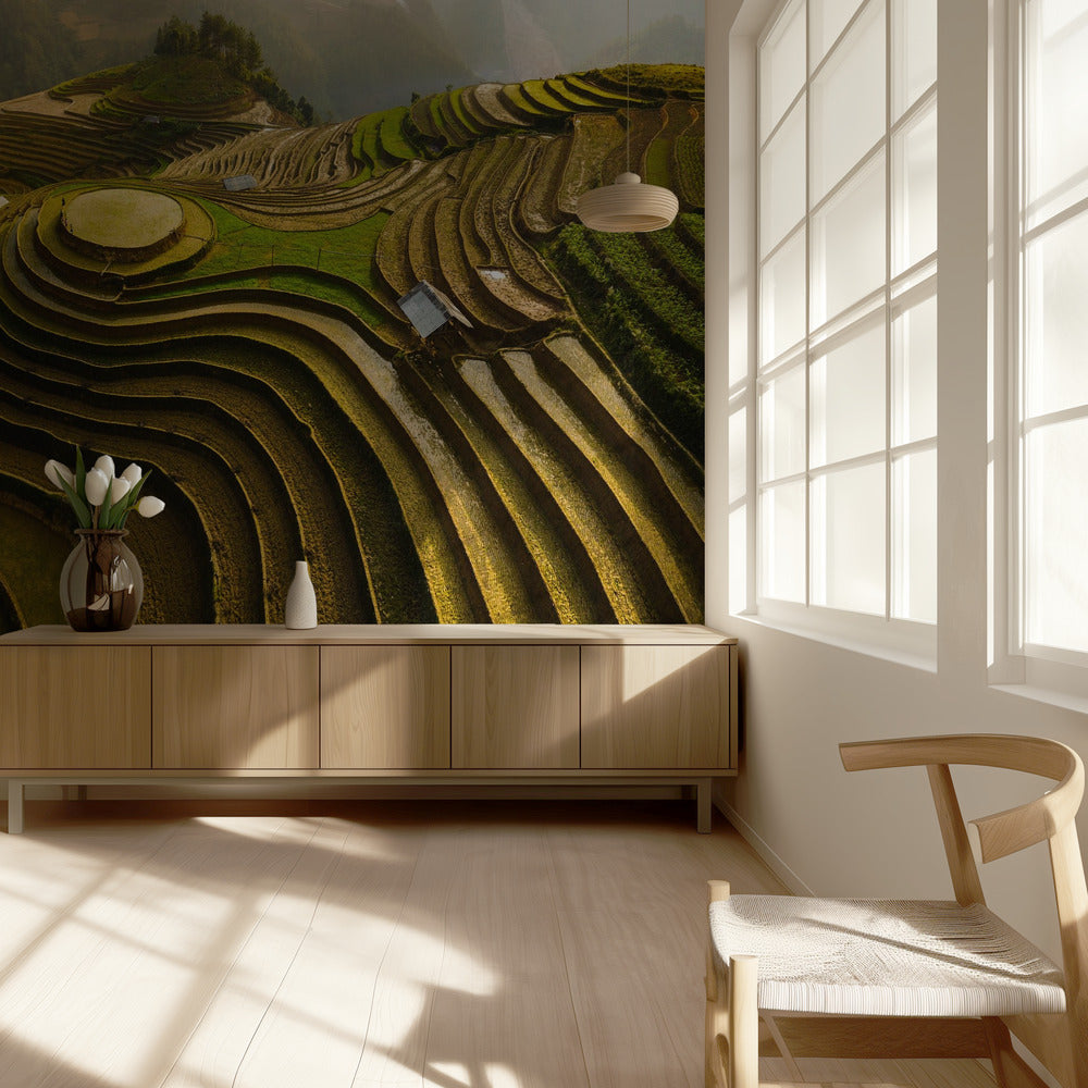 mu cang chai - vietnam | Tapet