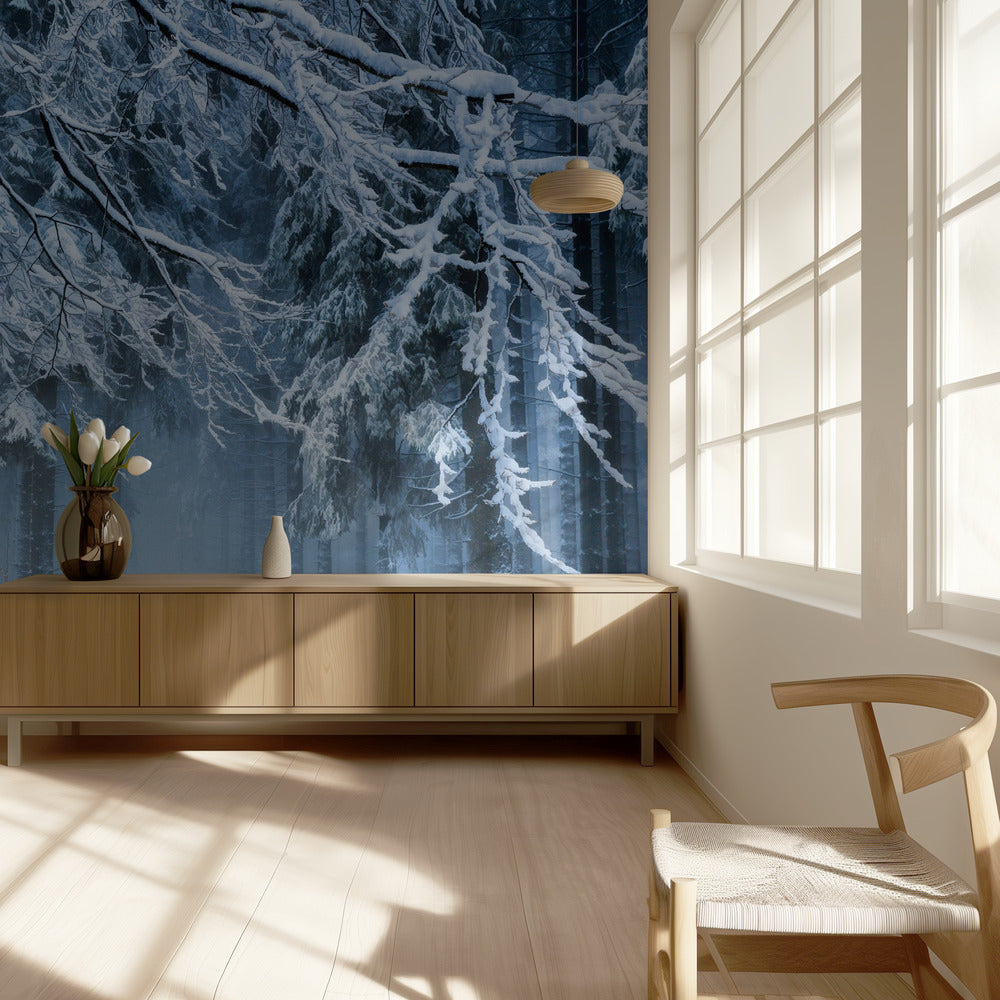 Snövärld | Tapeter