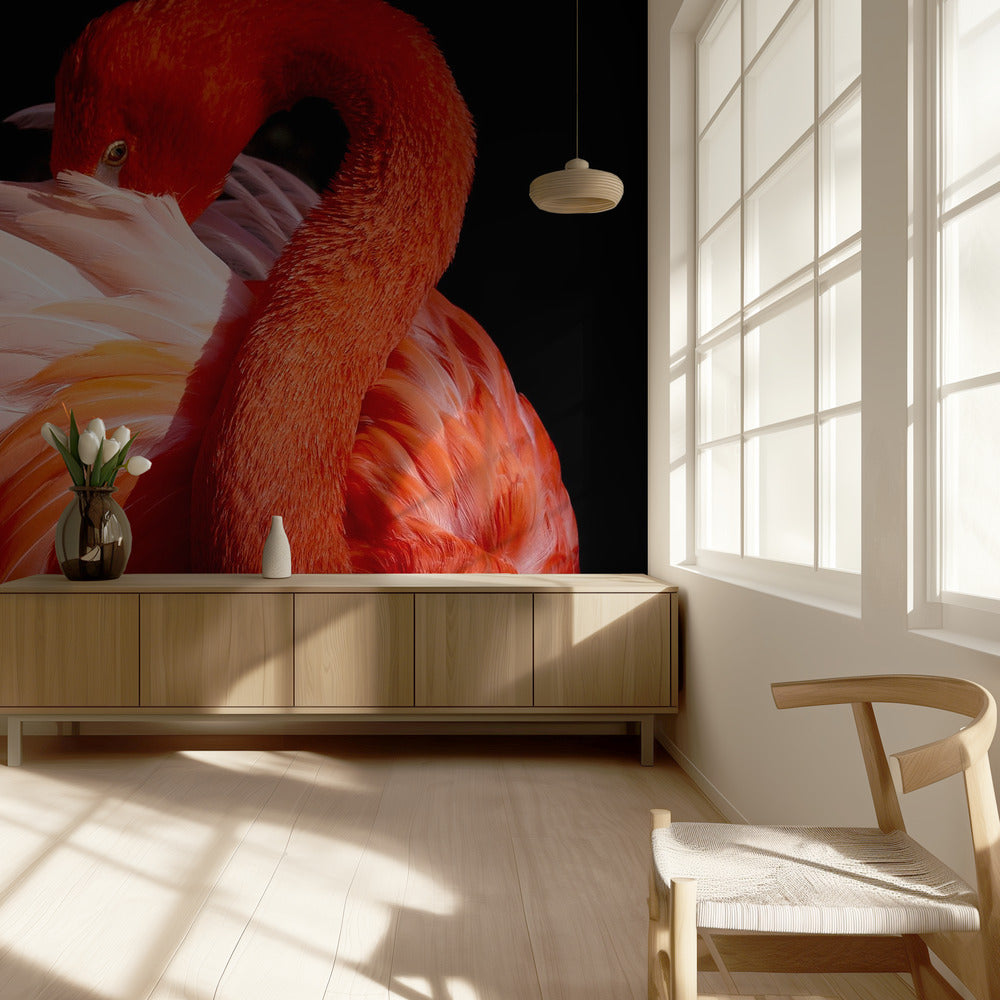 flamingo | Tapeter