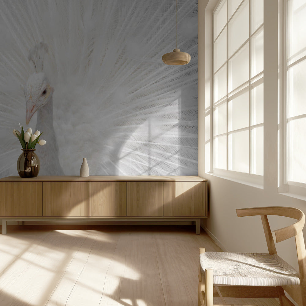Splendid White | Tapet