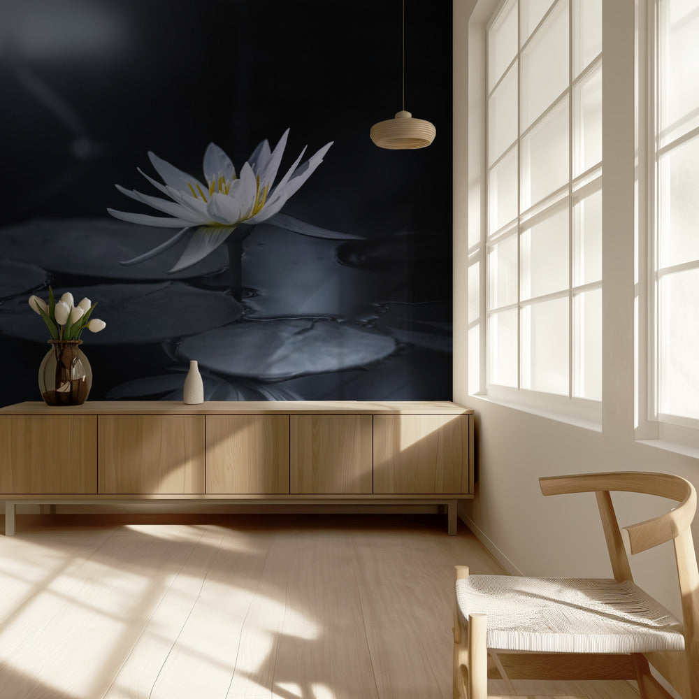 Reflektion | Tapet