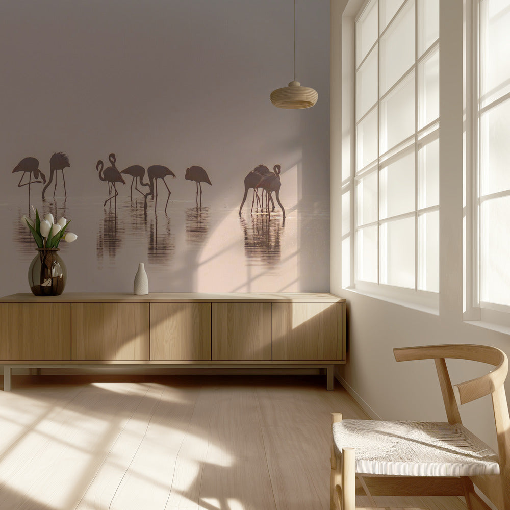 Flamingos i dimman | Tapet