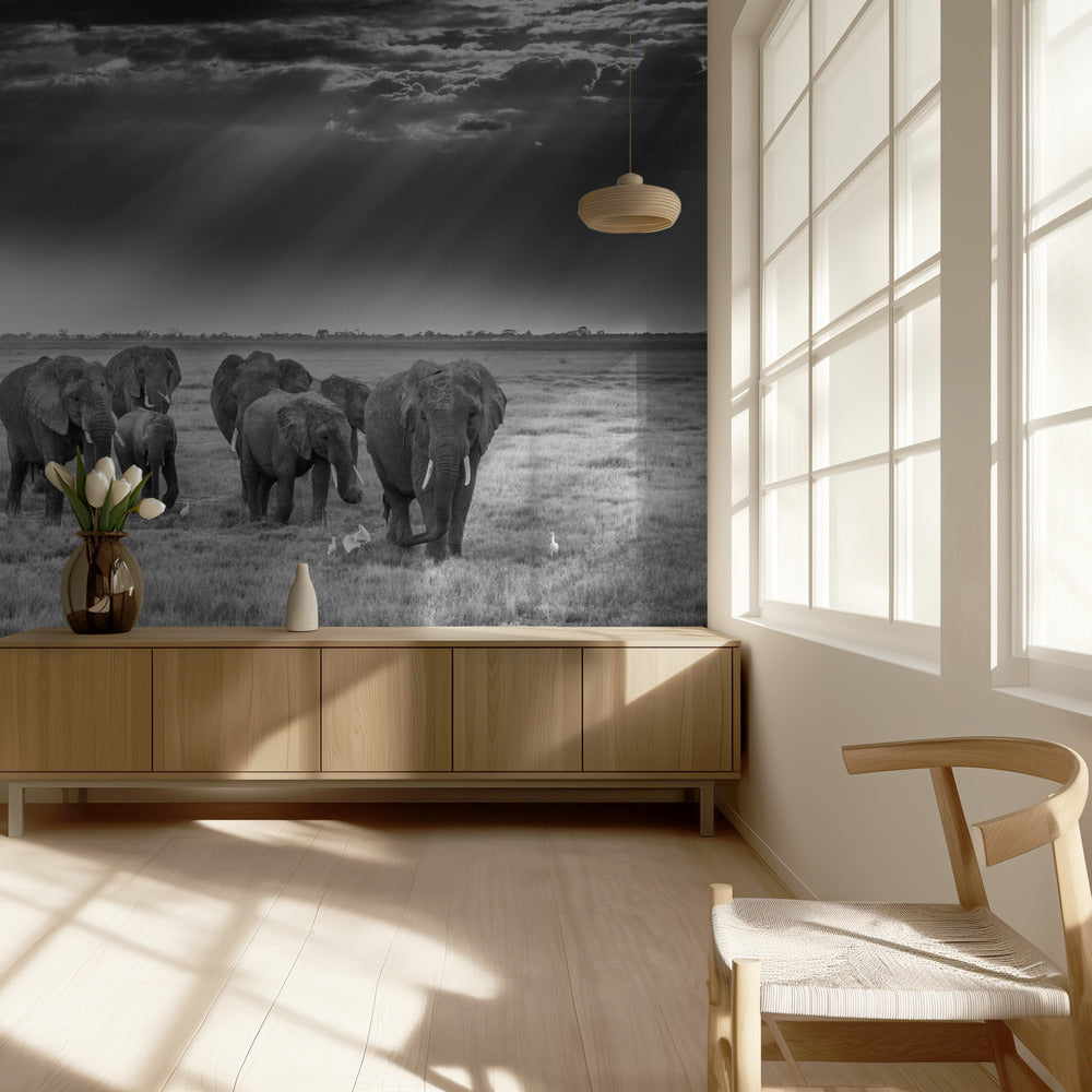 Frukost med pachydermer | Tapet