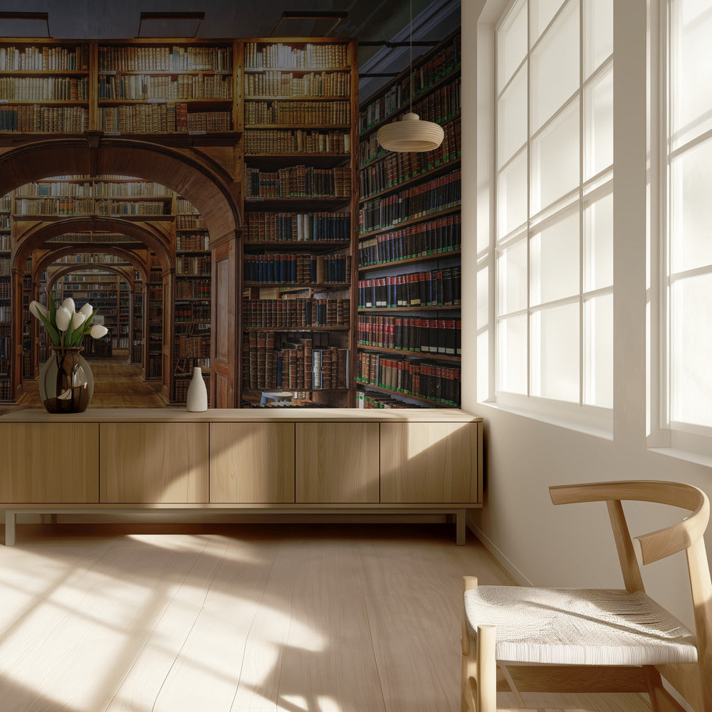 Övre Lausitzer vetenskapsbibliotek | Tapet