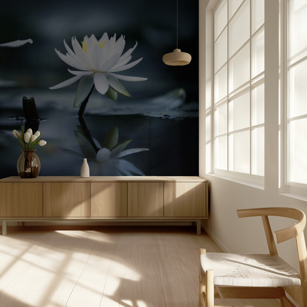 Reflektion | Tapet