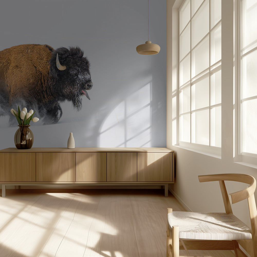 Bison i snön | Tapet