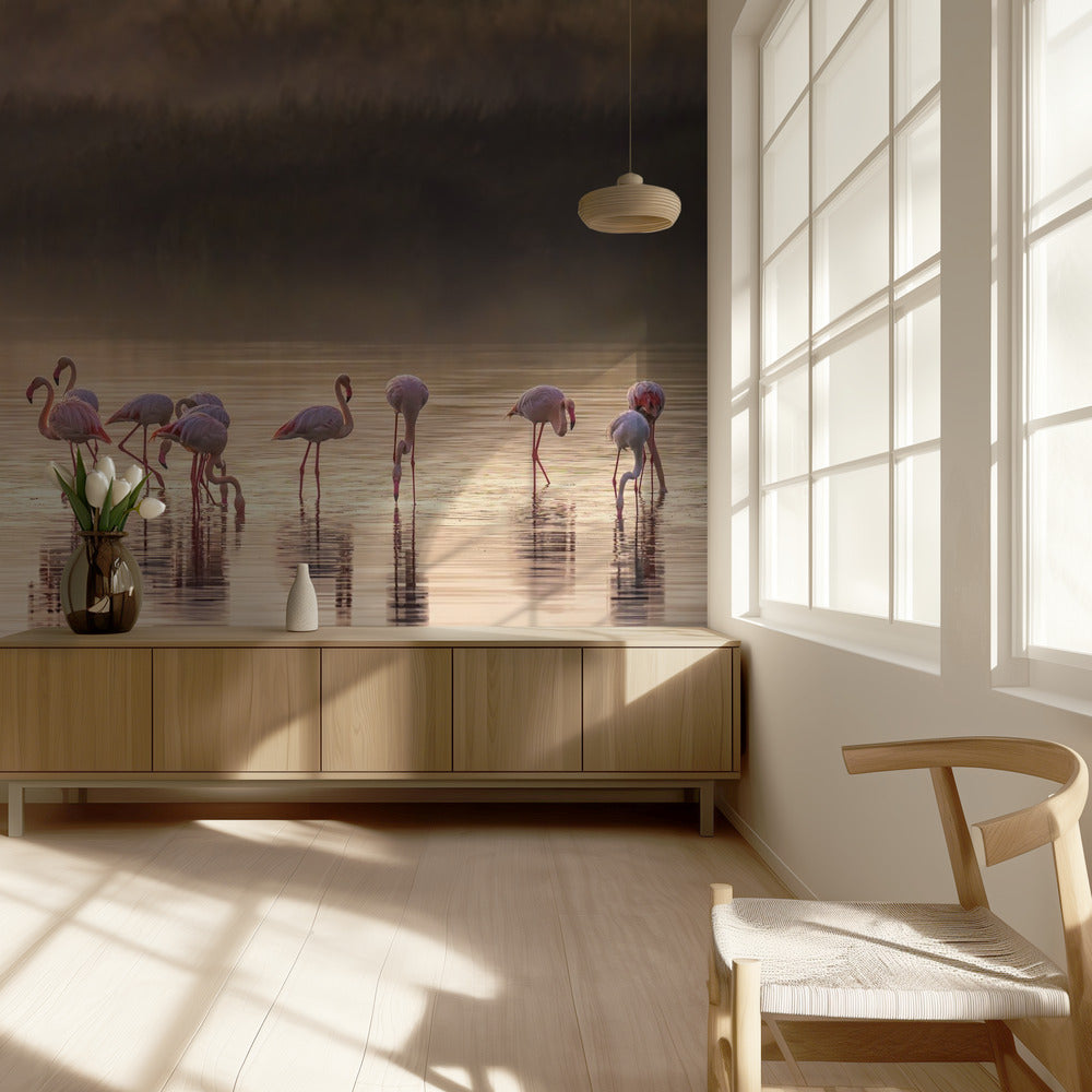 Fotografisk hyllning till Monet | Tapet