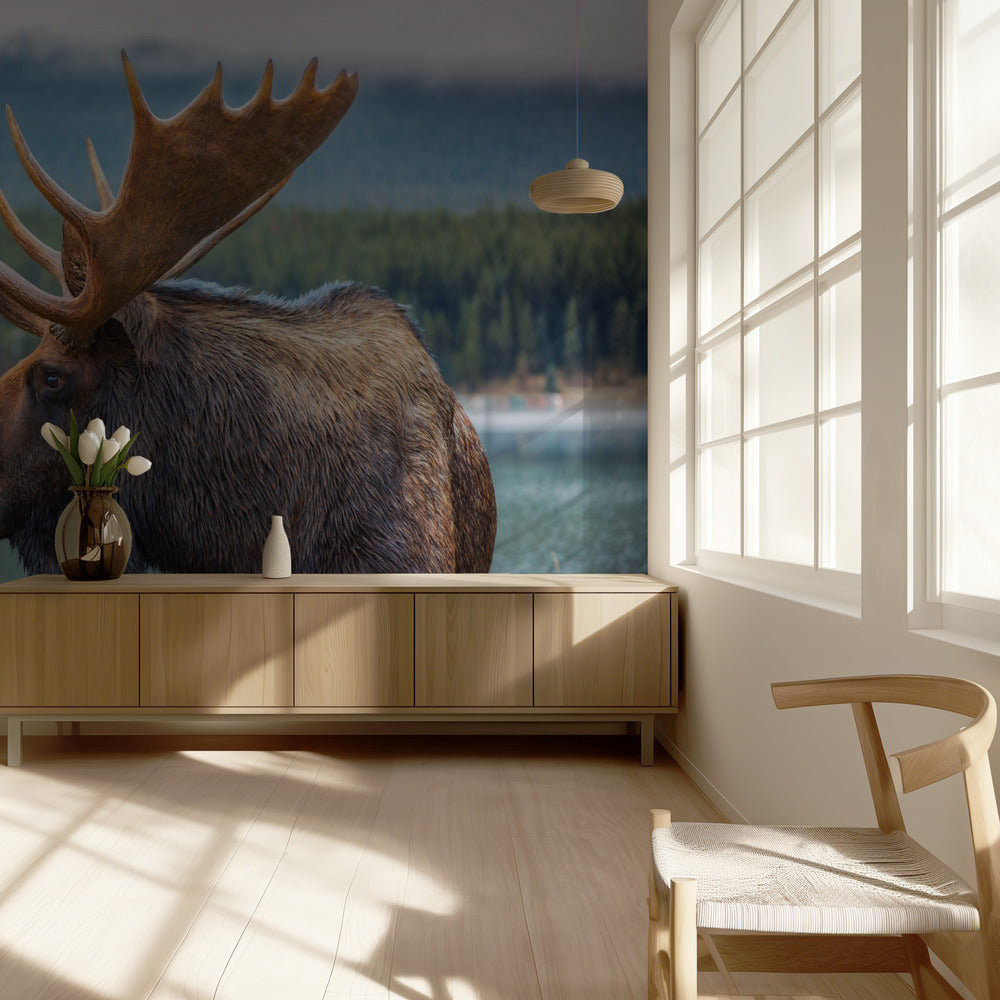 Älg | Tapeter