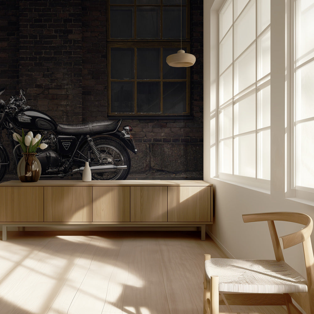 How I Move: Kari - Transportation | Wallpaper