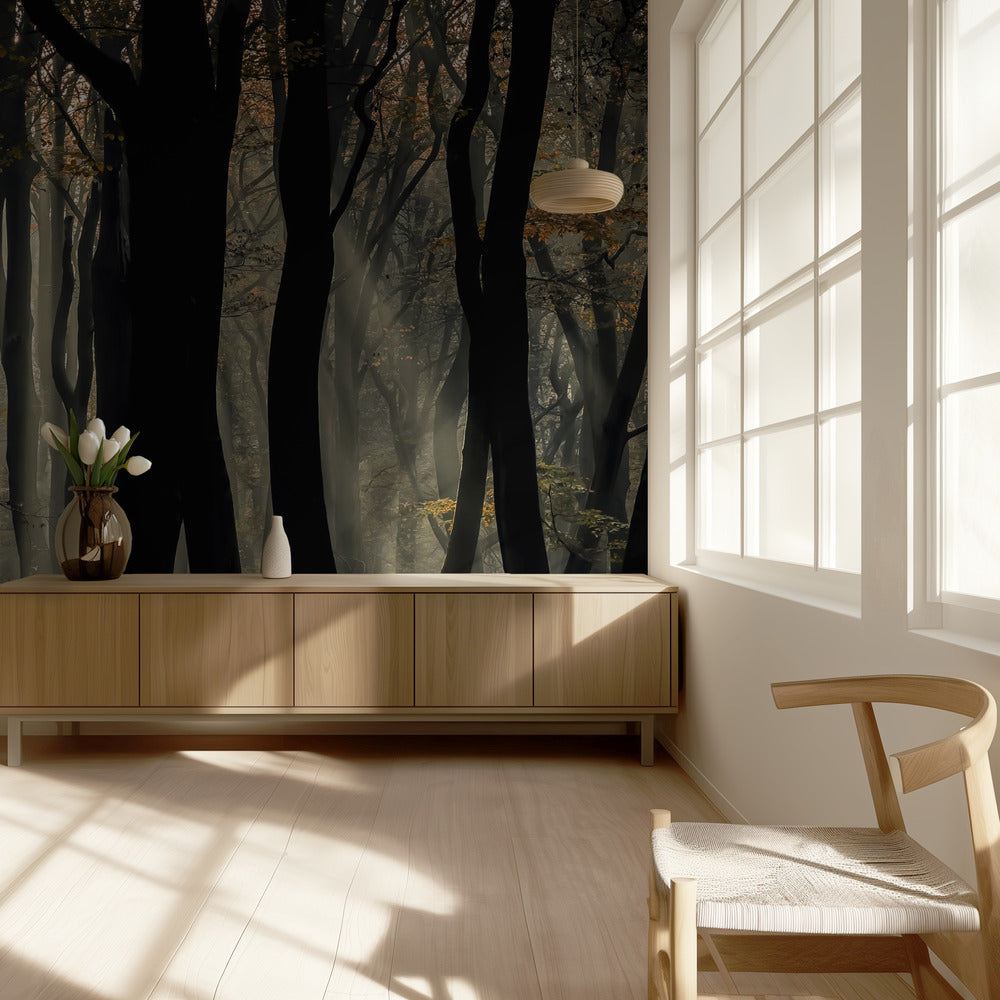 Speulderbos | Tapeter
