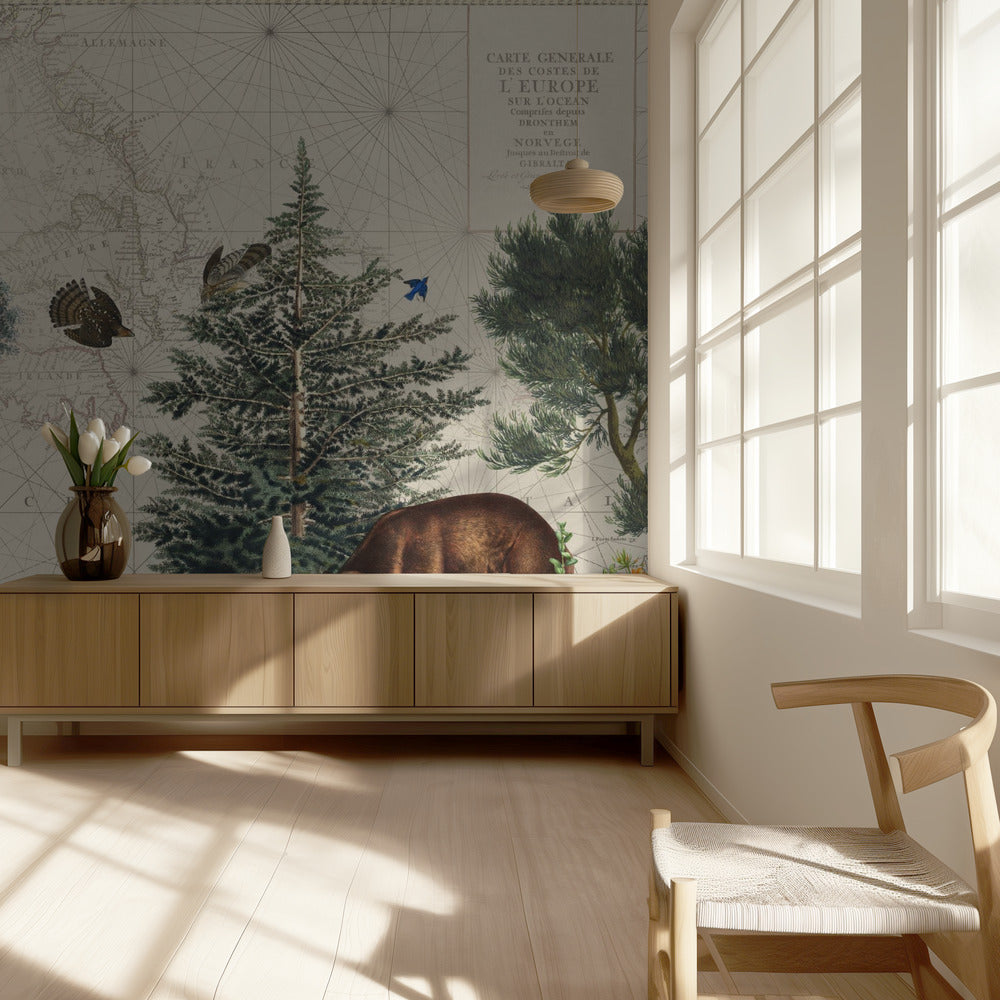 Nordic Woods 5 | Tapet