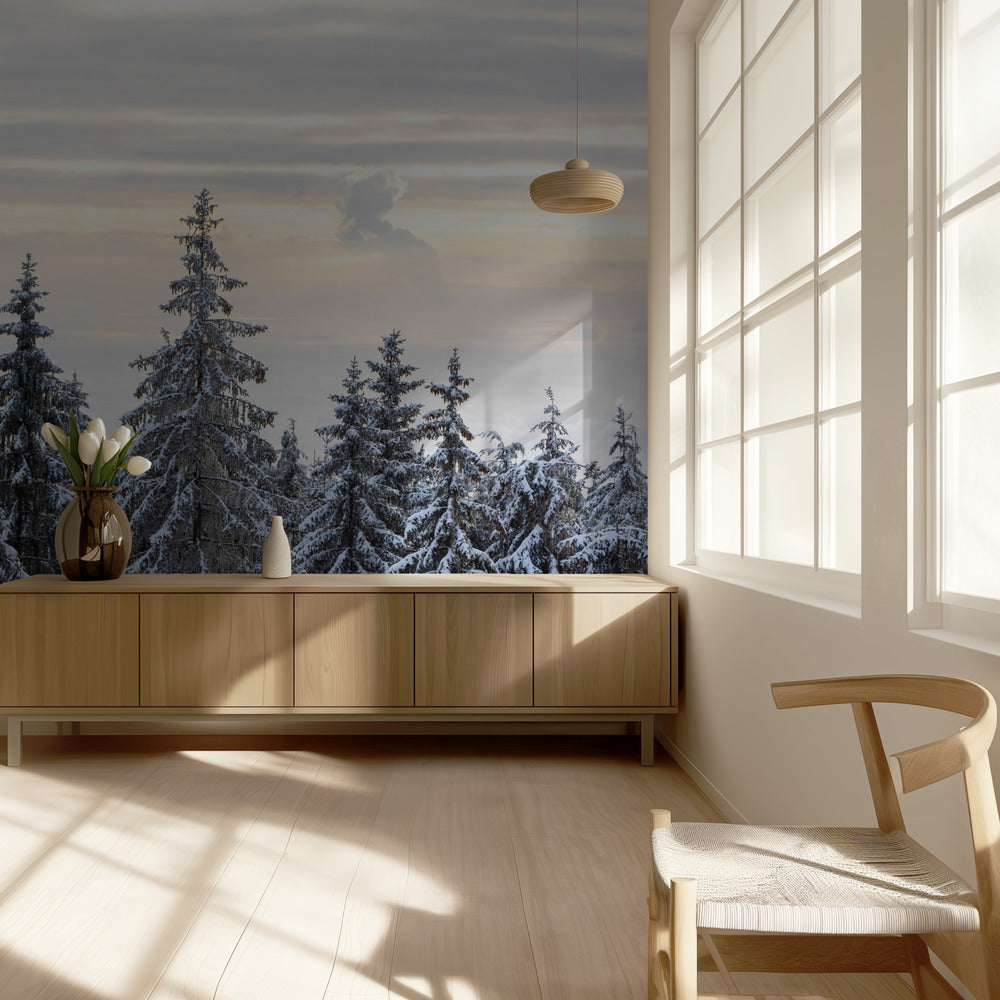 Snötäckta träd 8 | Tapet